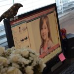 Seleção de Casting