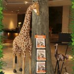 Kids Fashion Show 6 - Lounges