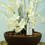 Instituto do Câncer Dr. Arnaldo - Inauguração dos Totens!!!