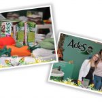 KFS 7 - Um evento encantado!